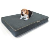 BestDealDepot- Premium Solid Memory Foam Pet Bed / Dog Mat with Waterproof Cover | Color: Gray , Size: 36