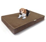 BestDealDepot- Premium Solid Memory Foam Pet Bed / Dog Mat with Waterproof Cover | Color: Chocolate , Size: 44